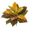 21 Garden Croton Artificial Plant Real Touch Set Of 4