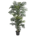 Havenside Home Crane Silk 6.5 Foot Golden Cane Palm Tree