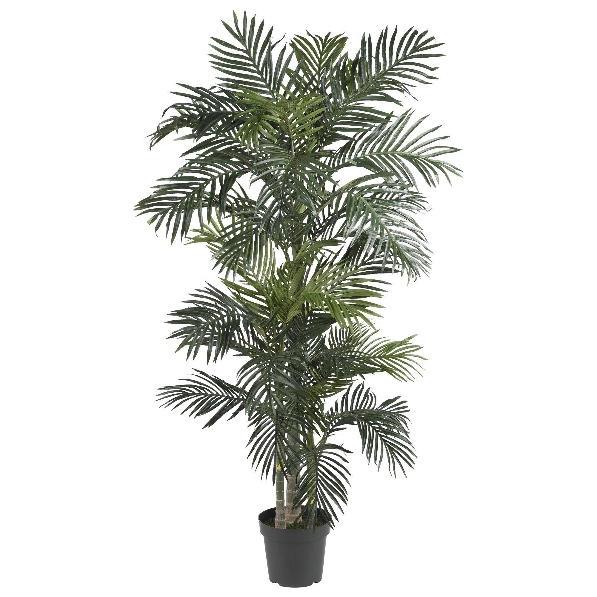 Havenside Home Crane Silk 6.5 Foot Golden Cane Palm Tree