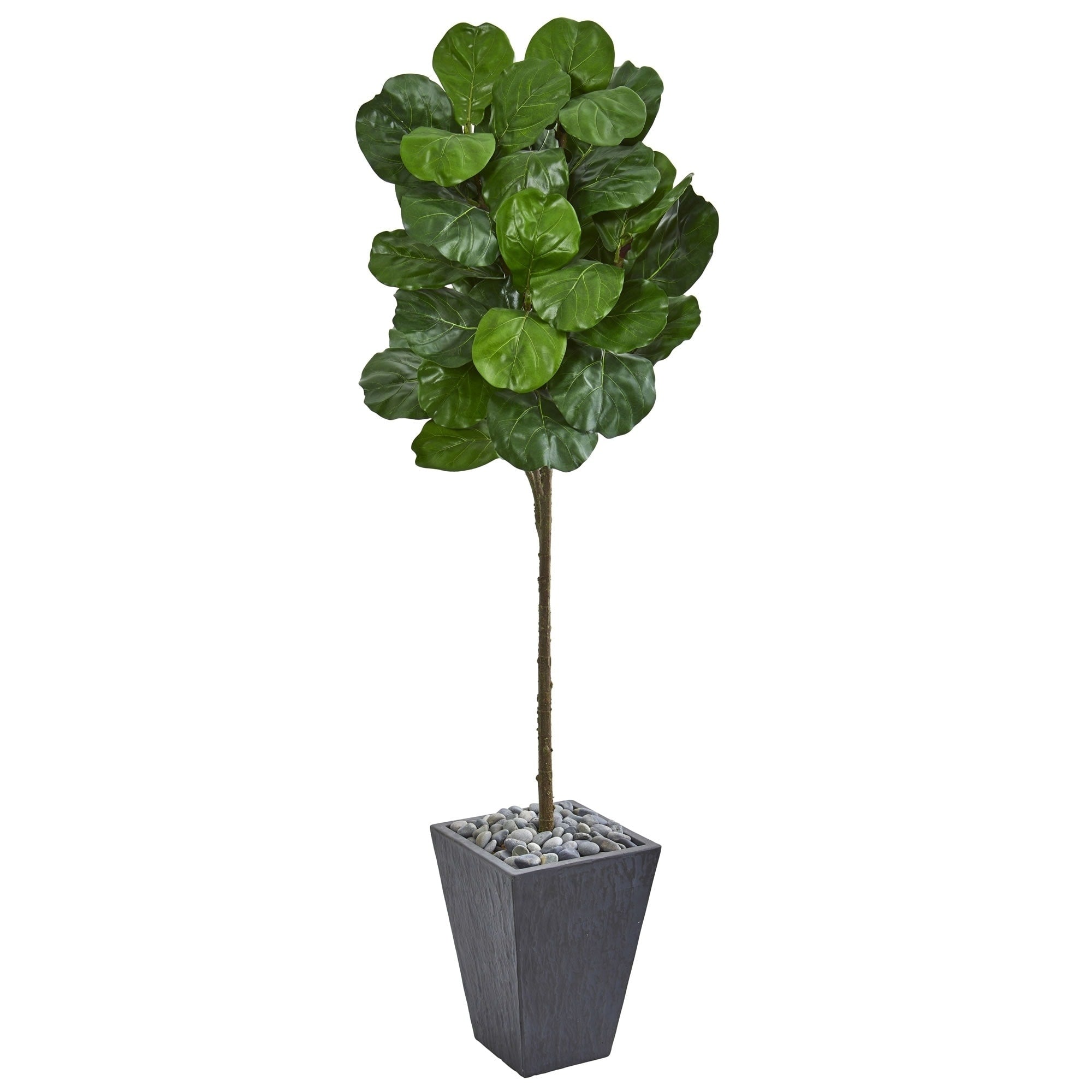 Nearly Natural Fiddle Leaf 6 Foot Artificial Tree In Slate Finished Planter