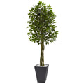 Nearly Natural Grey 6.5 Foot Ficus Tree Indoor Or Outdoor Planter