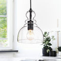 Nefelt Matte Black 1 Light Decanter Seeded Glass Pendant