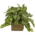 Nearly Natural Faux Nephthytisplant In Wood Box Planter