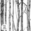 Nextwall Birch Trees Peel And Stick Removable Wallpaper 20.5 In. W X 18 Ft. L