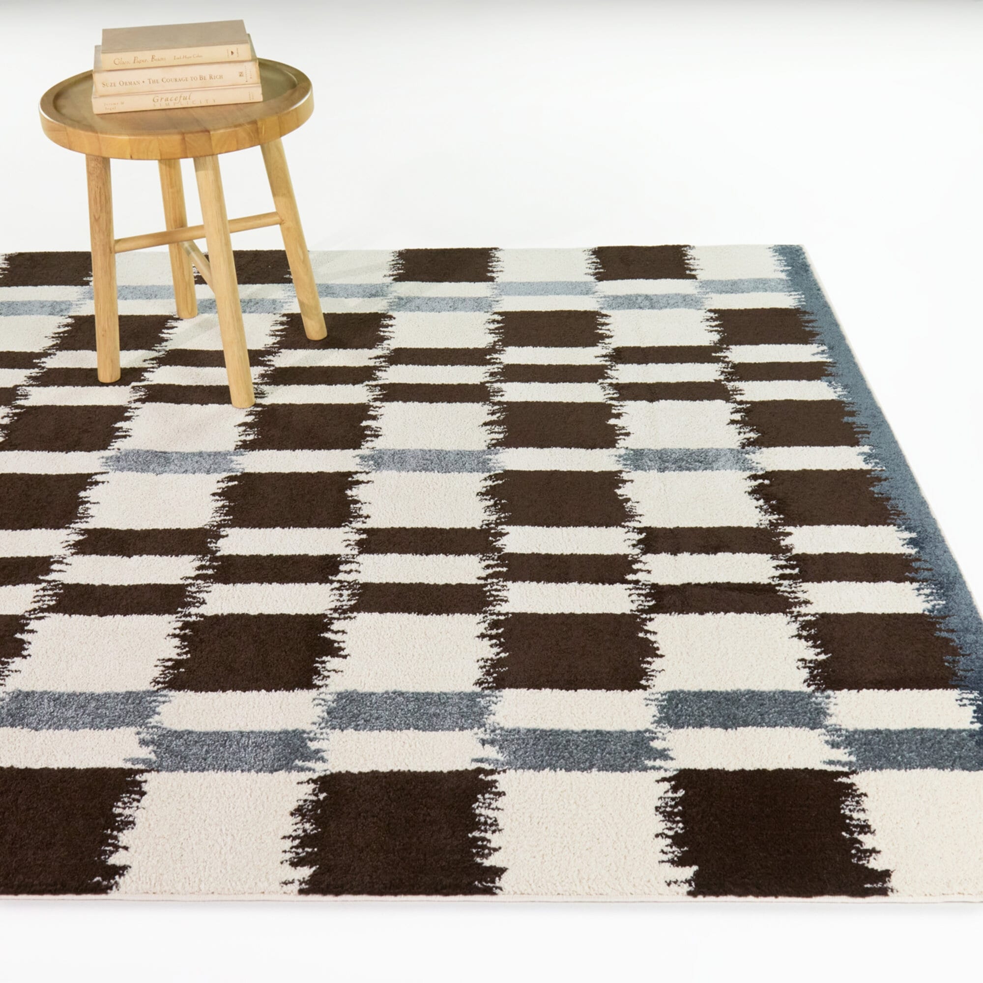 Noack Checkered Ikat Area Rug