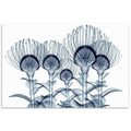 Nodding Pincushions Frameless Free Floating Tempered Glass Panel Graphic Wall Art