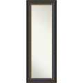 Thomas Black Bronze 19.75 In. X 53.75 In. Framed On The Door Mirror Full Length Mirror 19.75 In. X 53.75 In.