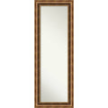 On The Door Full Length Wall Mirror Manhattan Bronze 20 X 54 Inch Red 53.38 X 19.38 X 1.098 Inches Deep