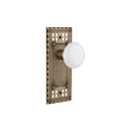 Nostalgic Warehouse Crawhi_Sd_Nk White Porcelain Solid Brass Single Dummy Knob With Craftsman Rose