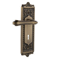 Nostalgic Warehouse Eadflr_Dd_Kh Fleur Non Turning Two Sided Lever Set With Egg Dart Rose And Decorative Keyhole
