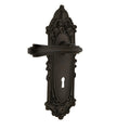 Nostalgic Warehouse Vicflr_Sd_Kh_Rh Fleur Non Turning One Sided Door Lever With Victorian Rose And Decorative Keyhole