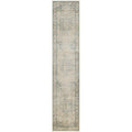Nourison Astra Machine Washable Distressed Area Rug