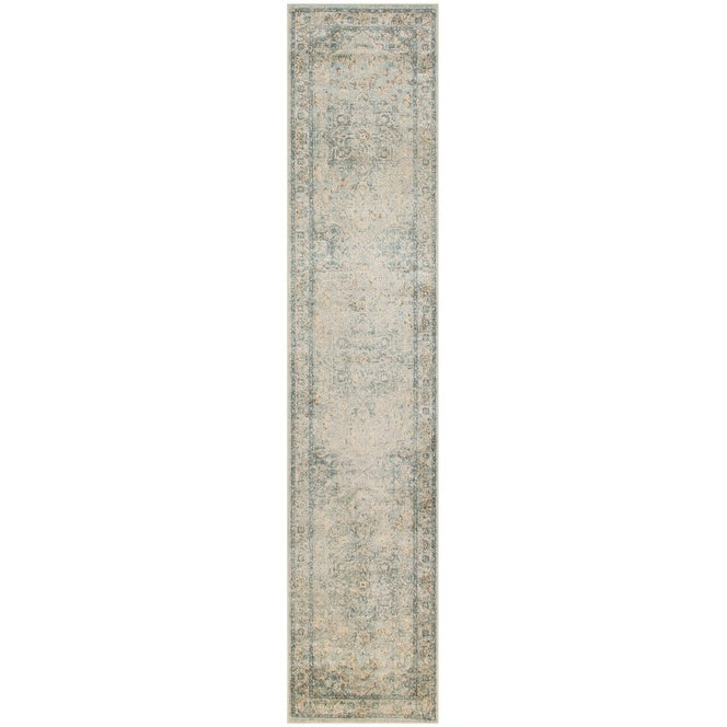 Nourison Astra Machine Washable Distressed Area Rug