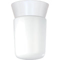 Nuvo Lighting 77 533 Single Light 4 1 4 Wide Outdoor Semi Flush