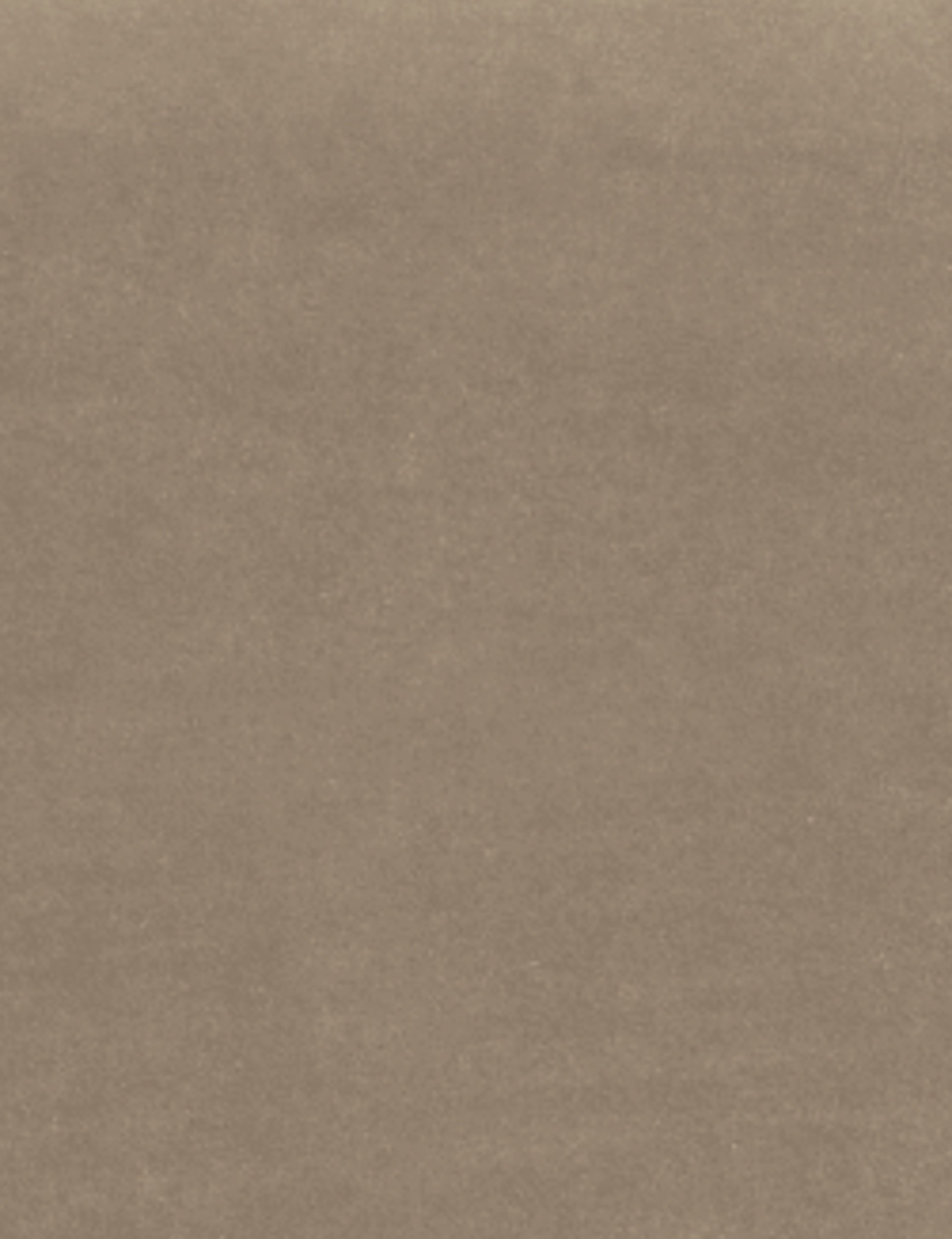 Oatmeal Velvet Swatch