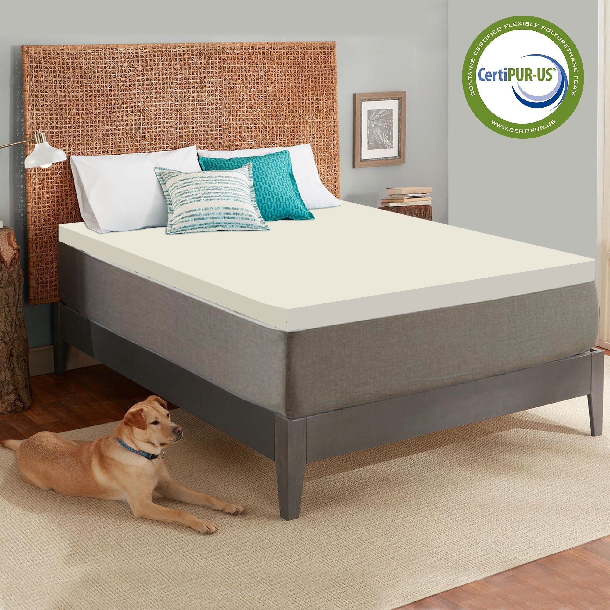 Onetan 2 Inch High Density Foam Mattress Toppers Add Comfort To Mattress