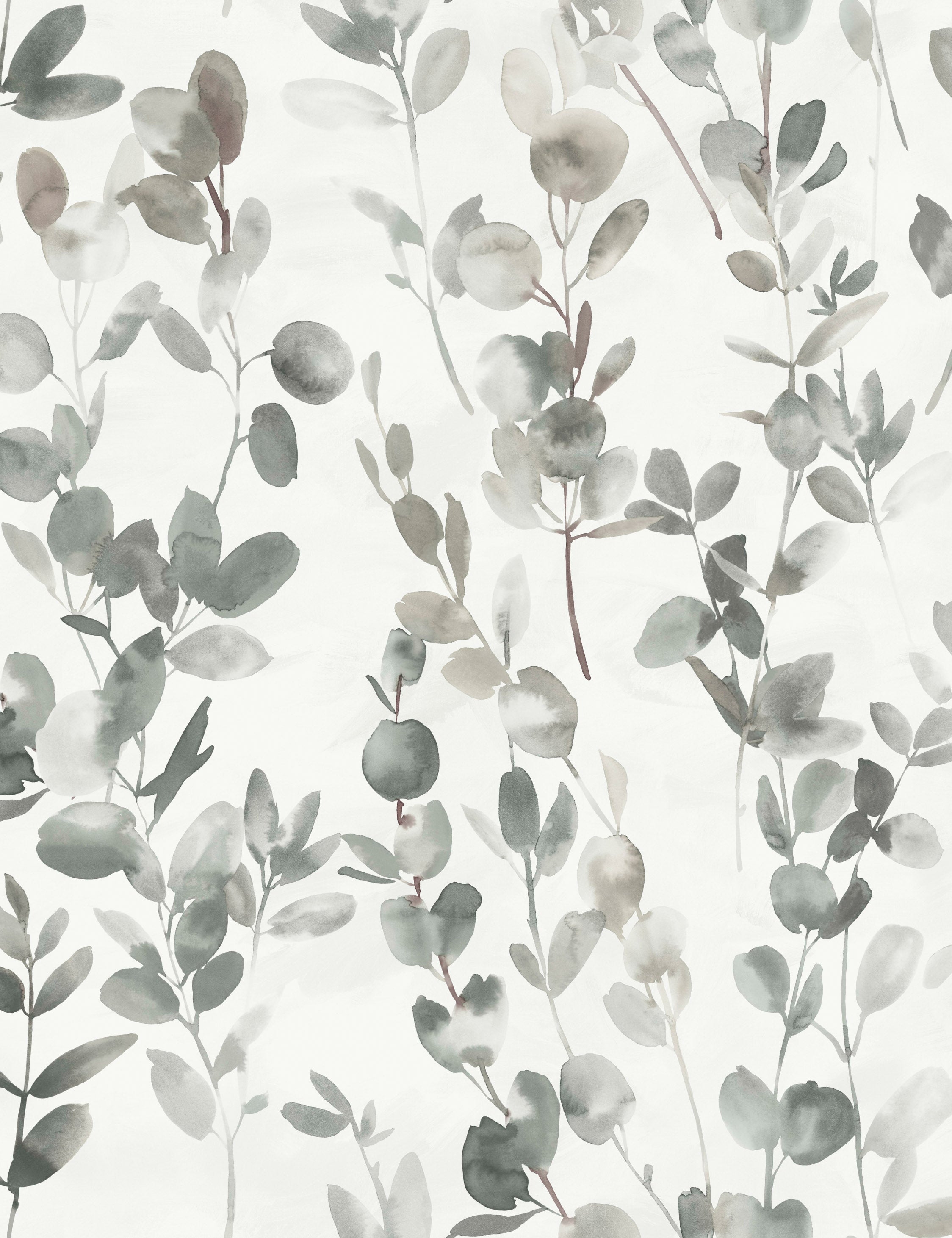 Joyful Eucalyptus Wallpaper by Candice Olson, Grey Swatch