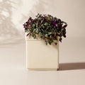 Oakley Round Faux Limestone Indoor/Outdoor Large Planter 19inH
