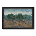 Olive Trees 1889 Vincent Van Gogh Custom Framed Canvas