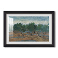 Olive Trees 1889 Vincent Van Gogh Custom Framed Print