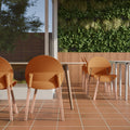Orange Dining Chair Coffee Chair Club Chair With Wood Legs Kitchen Chair Leisure Chair Reception Chair Set Of 4
