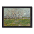 Orchard In Blossom 1888 Vincent Van Gogh Custom Framed Canvas
