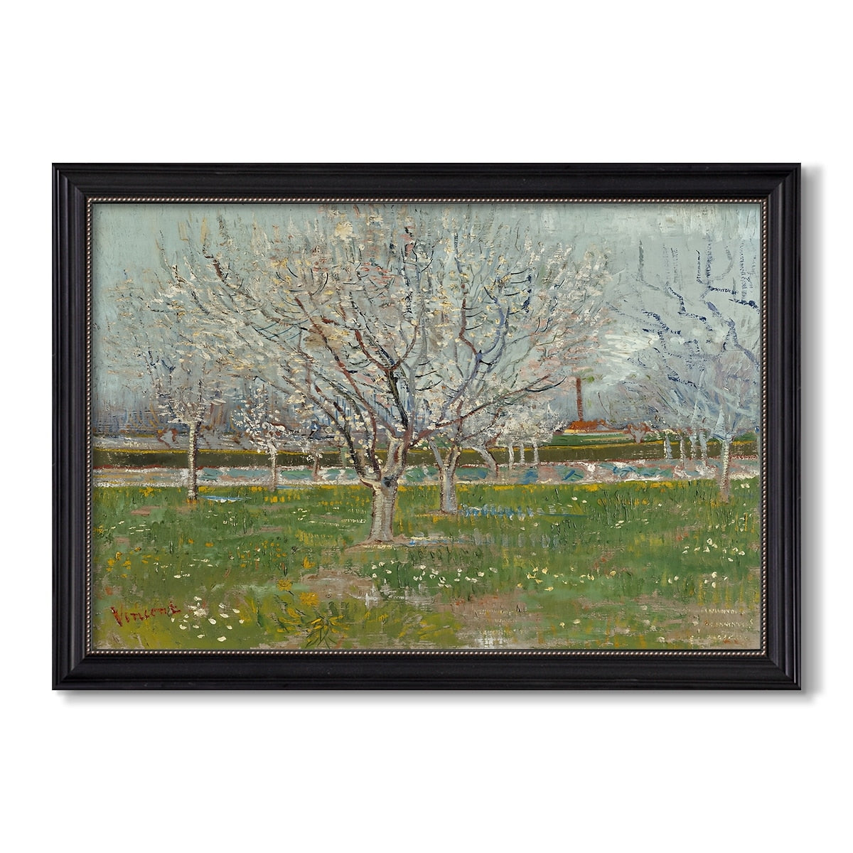 Orchard In Blossom 1888 Vincent Van Gogh Custom Framed Canvas