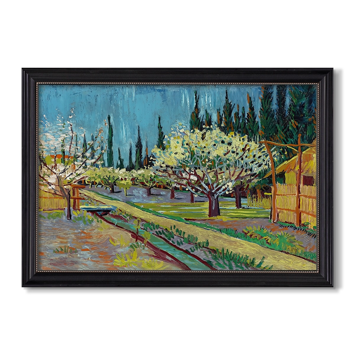 Orchard In Blossom Bordered By 1888 Vincent Van Gogh Custom Framed Canvas