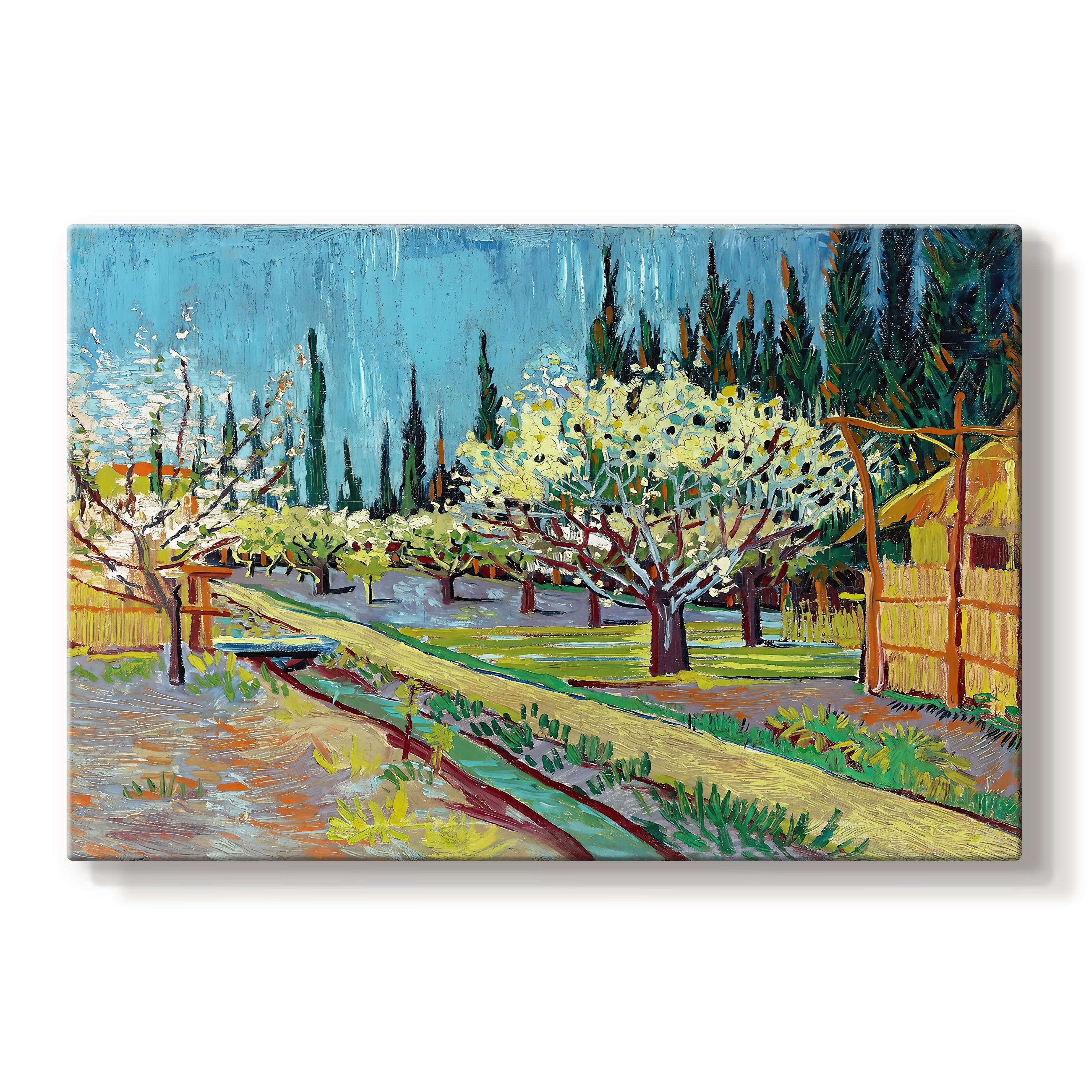 Orchard In Blossom Bordered By Cypresses 1888 Vincent Van Gogh Gallery Wrapped Canvas