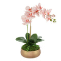 Orchid Arrangement In Fiberstone Planter 23