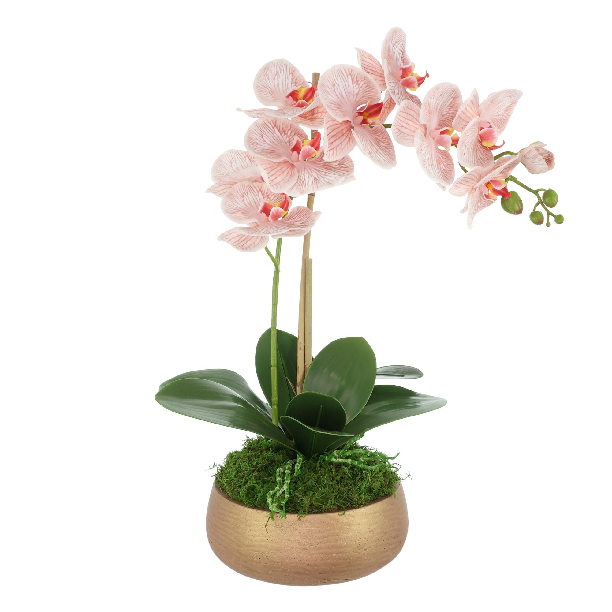 Orchid Arrangement In Fiberstone Planter 23