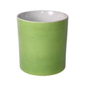 Orchid Pot Planter