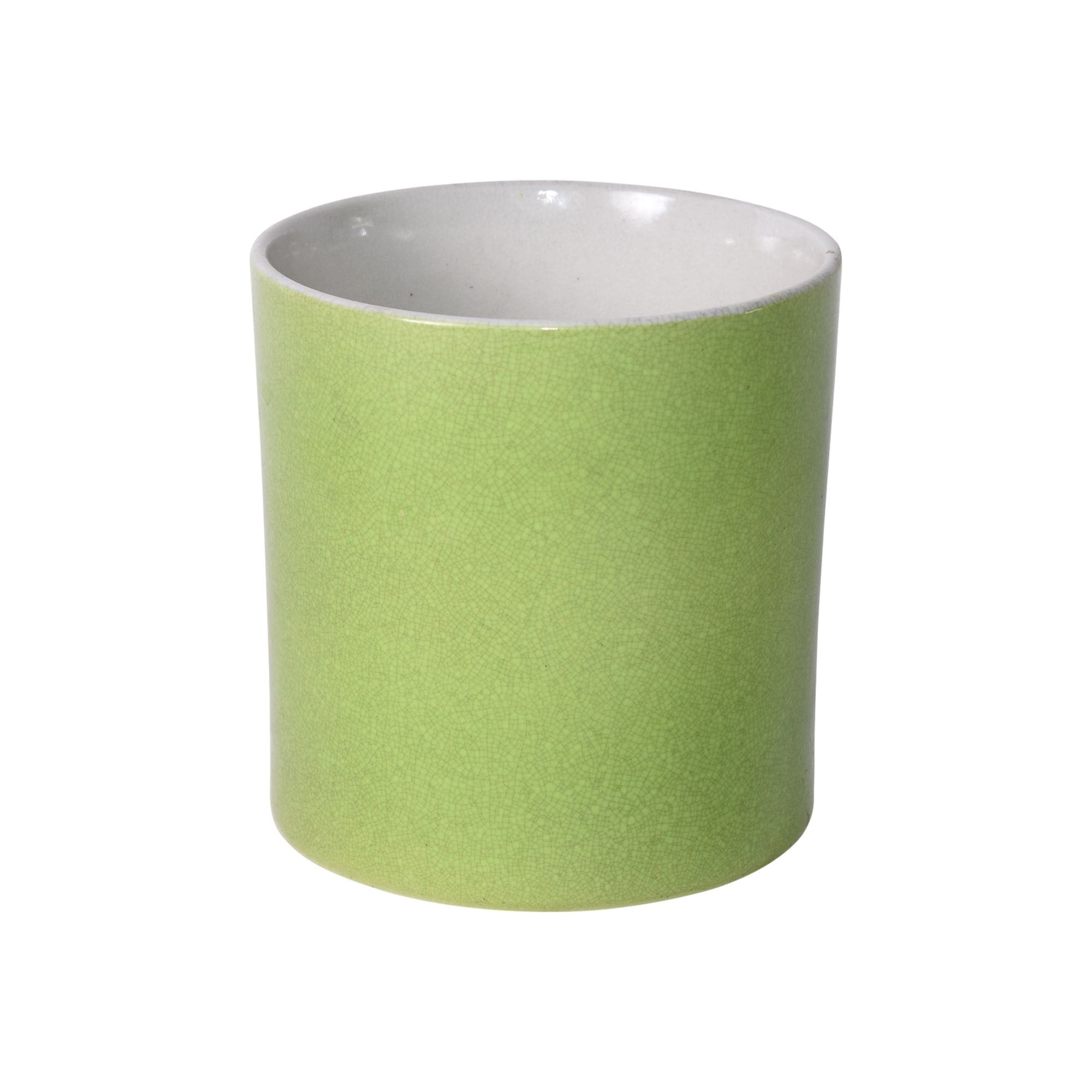 Orchid Pot Planter
