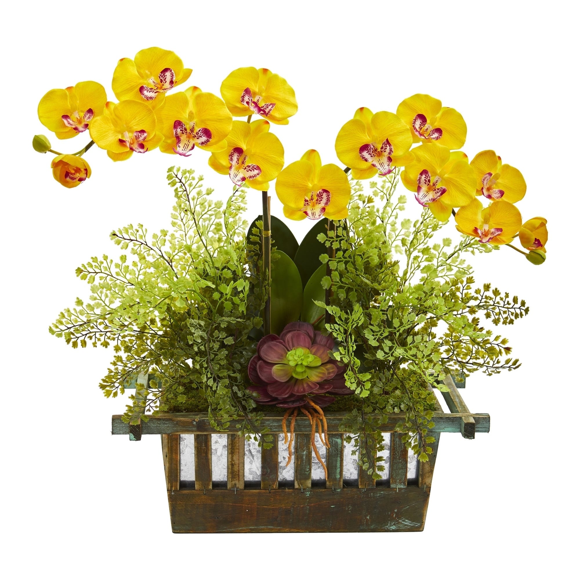 Orchid Succulent And Maiden Hair Artificial Arrangement