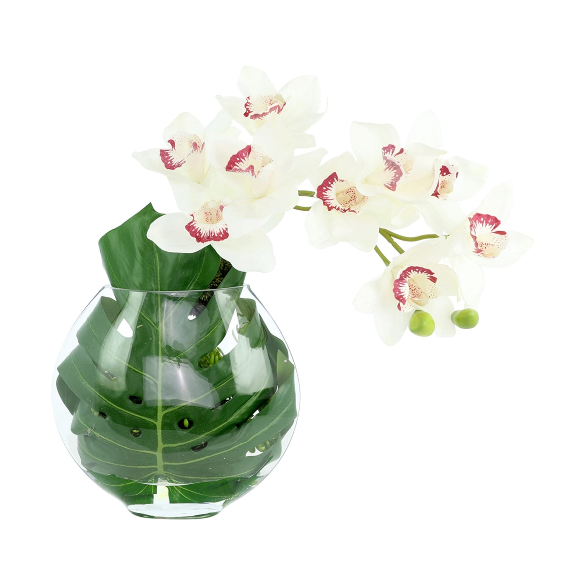 Orchid And Philodendron Arrangement 18
