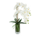 Orchids Arranged In Glass Vase With Moss 25