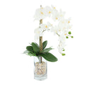Orchids Arranged In Glass Vase With Rocks 25