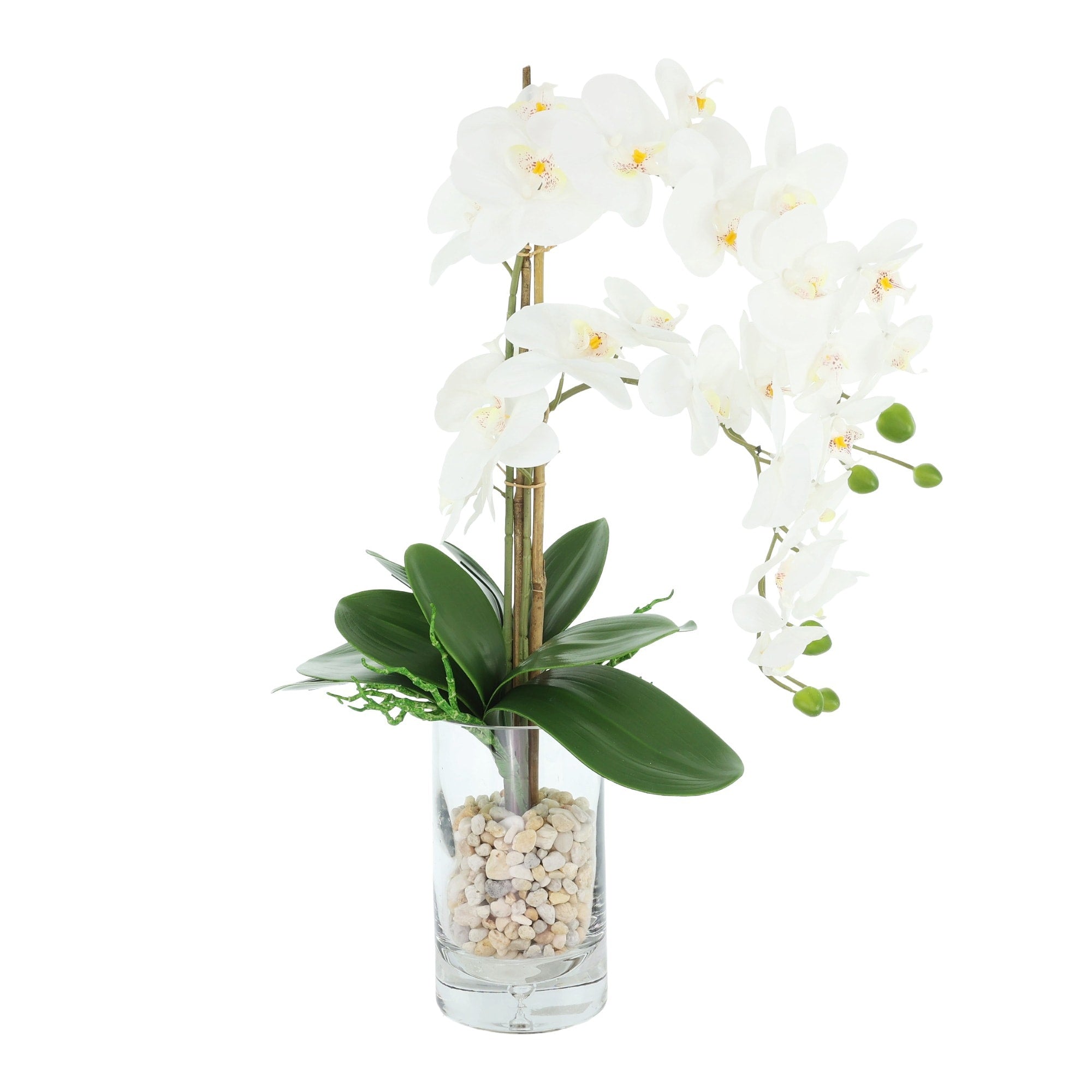 Orchids Arranged In Glass Vase With Rocks 25
