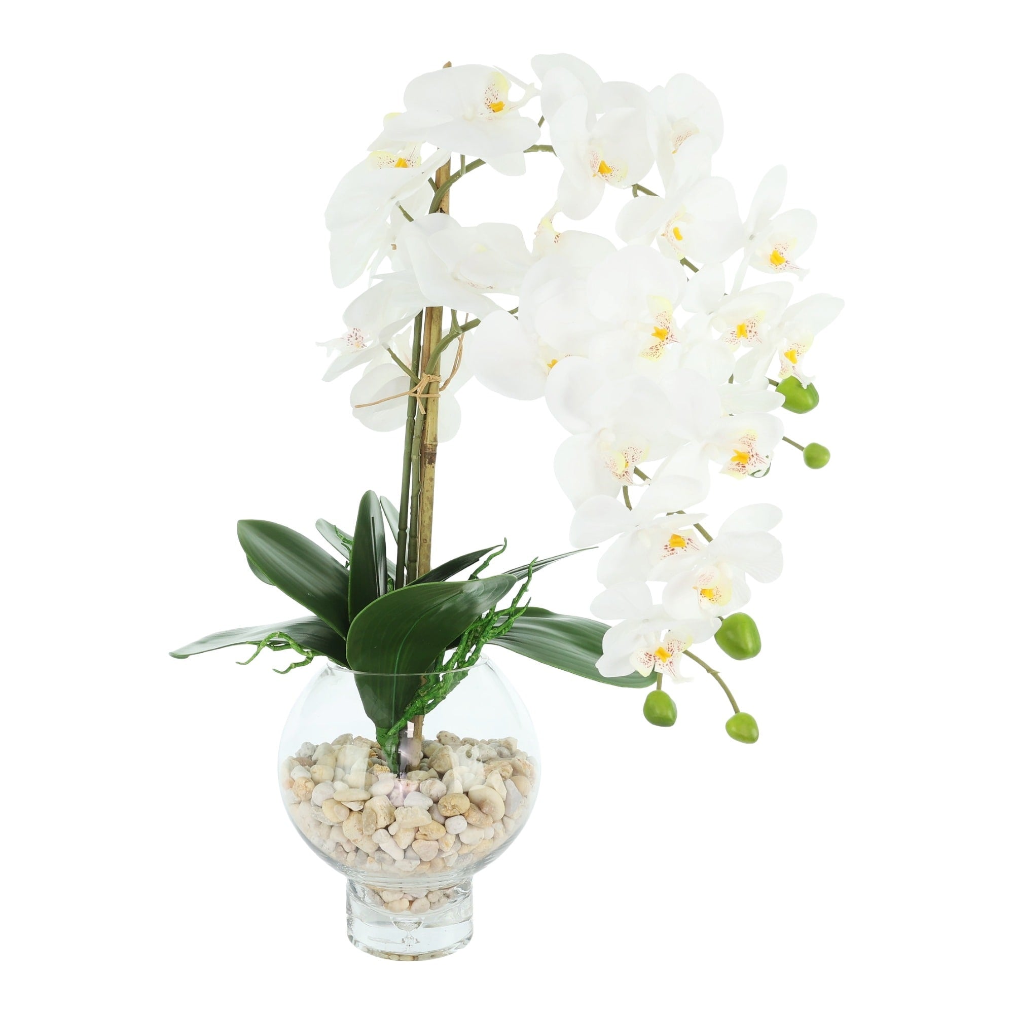 Orchids Arranged In Glass Vase With Rocks 24