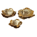Organic Dimensional Wall Art Set Of 3