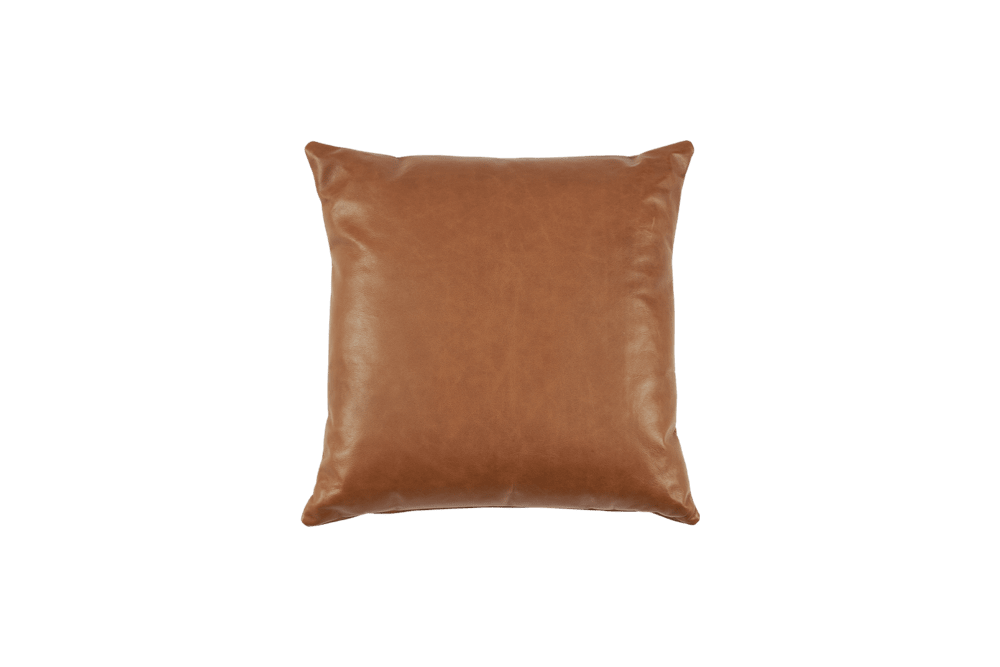 Orion Leather Throw Pillow