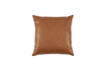 Orion Leather Throw Pillow