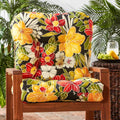 Havenside Home San Elijo Outdoor Seat Back Chair Cushion