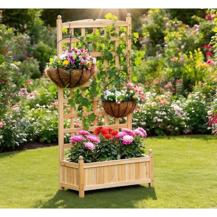 Outdoor Raised Planter Box With Trellis And Drainage For Healthy Plant