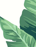 Pacifico Palm Wallpaper by Nathan Turner, Ivory
