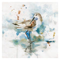 Palm Beach Piper Wrapped Canvas Art Print