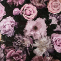 Pandora Drama Wallpaper
