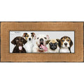 Panoramic Embellished Gold Picture Frame Uv Acrylic Foam Board Backing Hanging Hardware