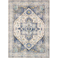 Pasargad Chelsea Collection Power Loomed Area Rug 4 X 6