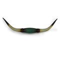 Hiend Accents Teal Longhorn Wall Hanging 36 X9